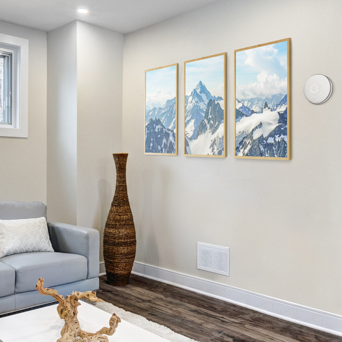 Airthings Wave Radon vs Airthings Wave Plus: Which is Best for Your Home? 1 wave radon